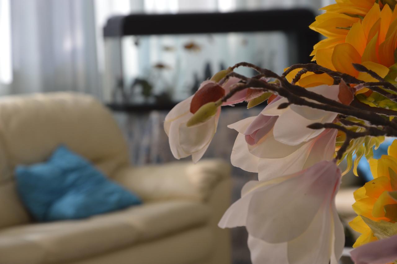 Hotel Fucsia Riccione Bagian luar foto