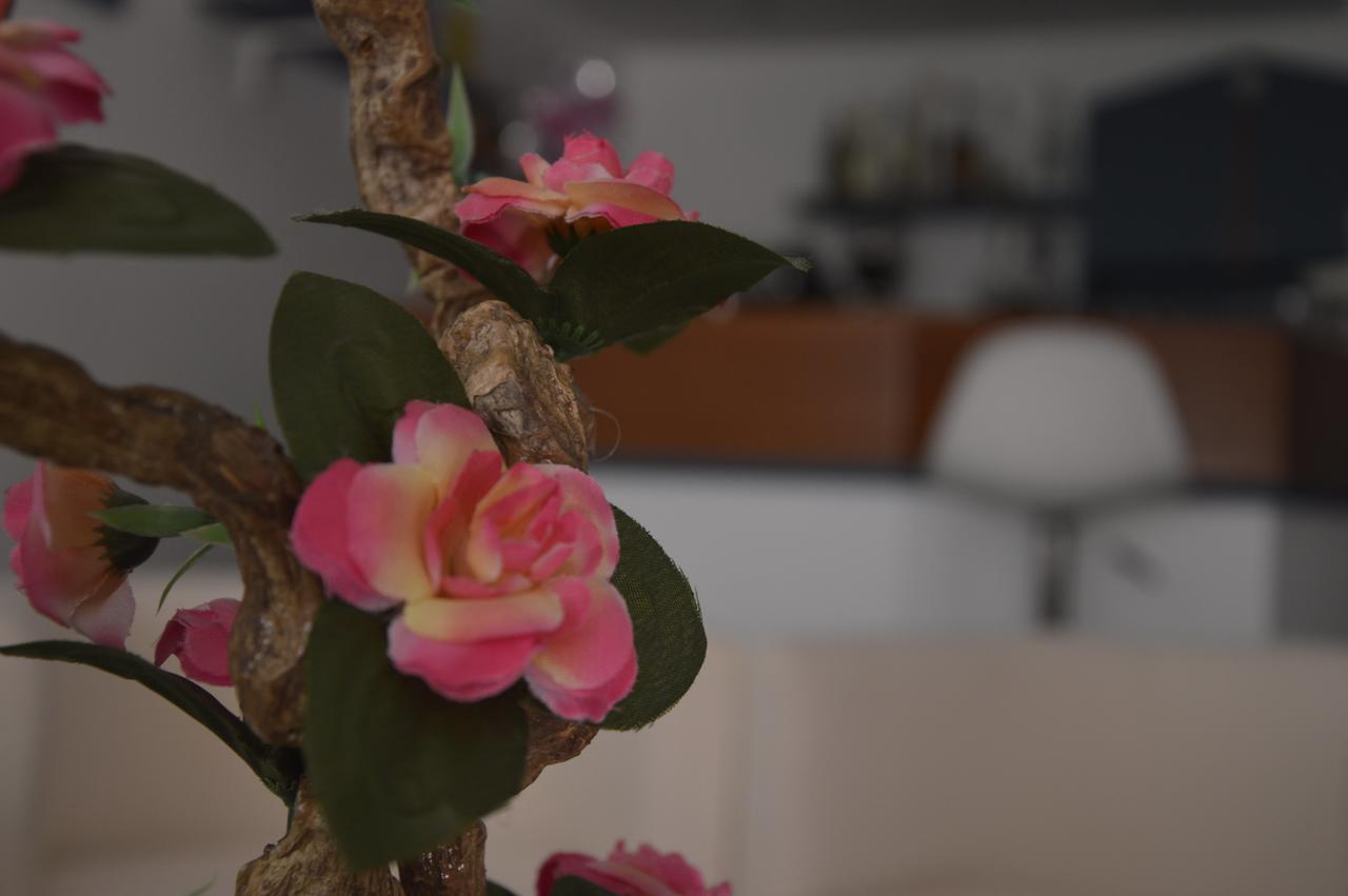Hotel Fucsia Riccione Bagian luar foto